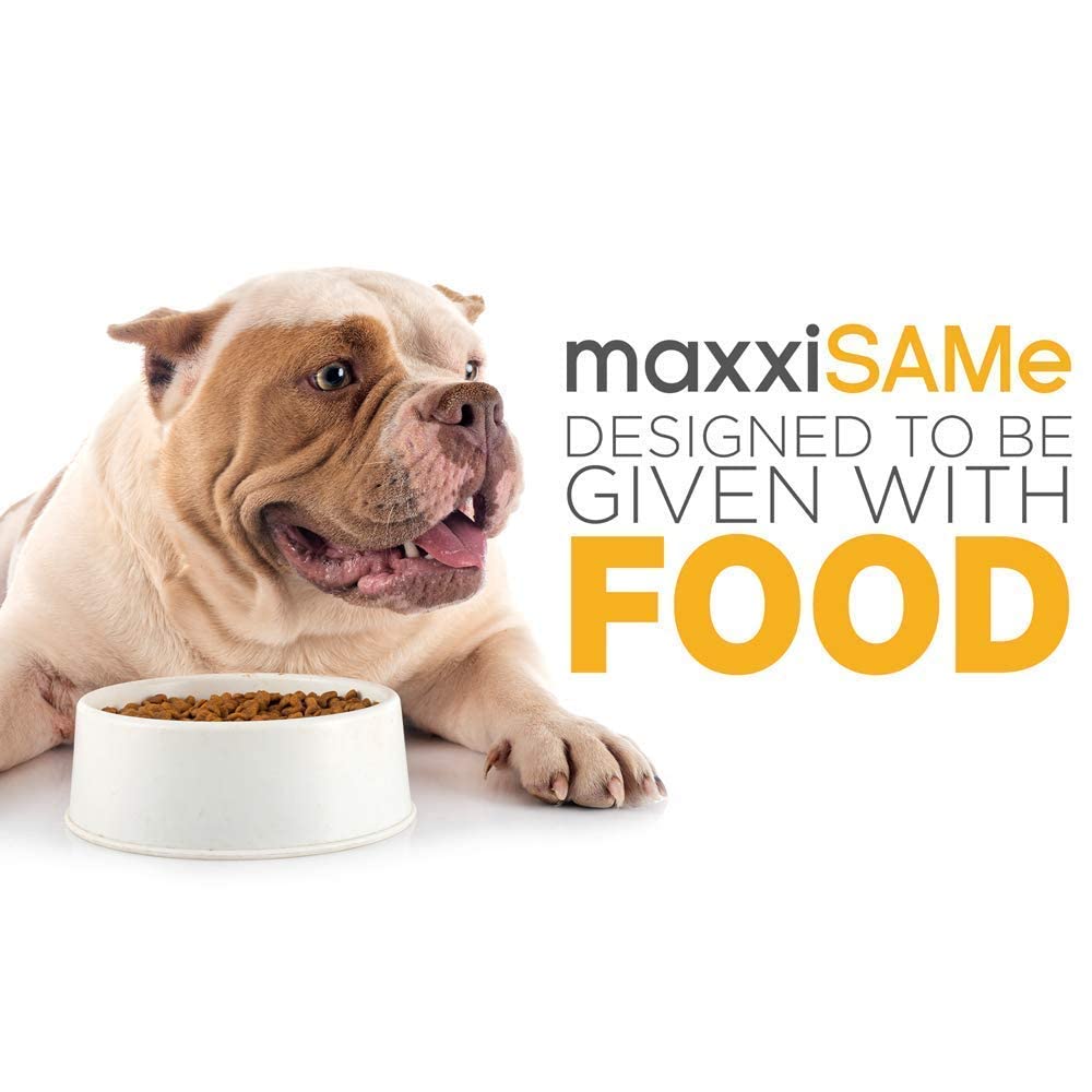 SAM-e Digestive and Immune Supplement G91037
