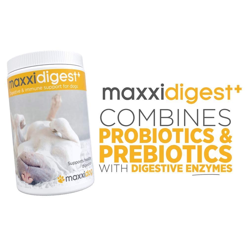 SAM-e Digestive and Immune Supplement G91037