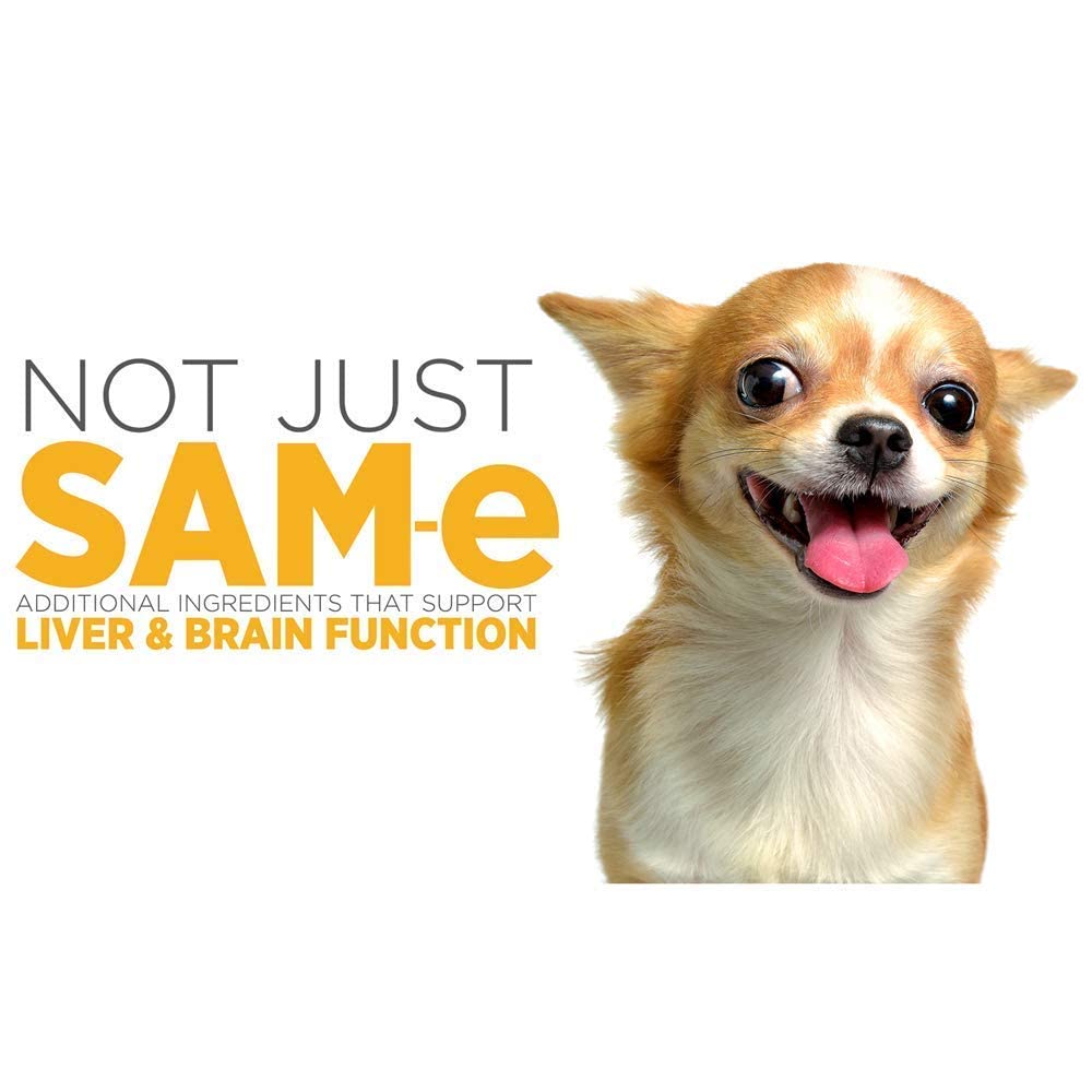 SAM-e Digestive and Immune Supplement G91037