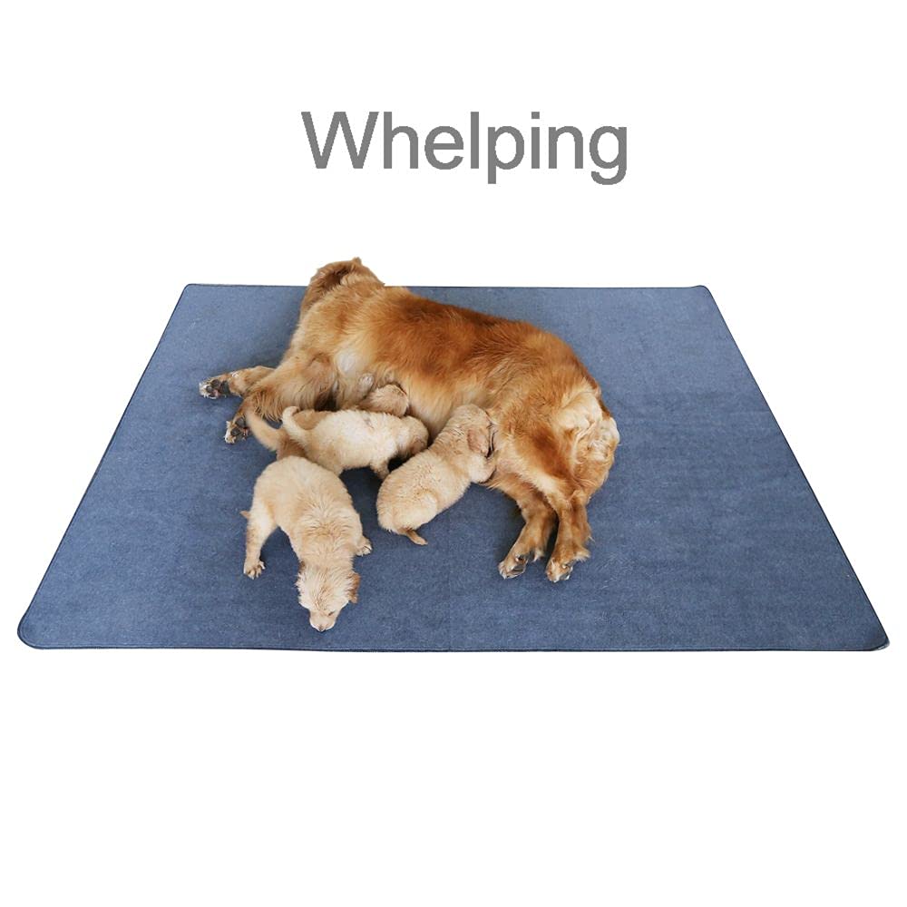 Non-Slip Washable Waterproof Dog Pad 72"x72" L439