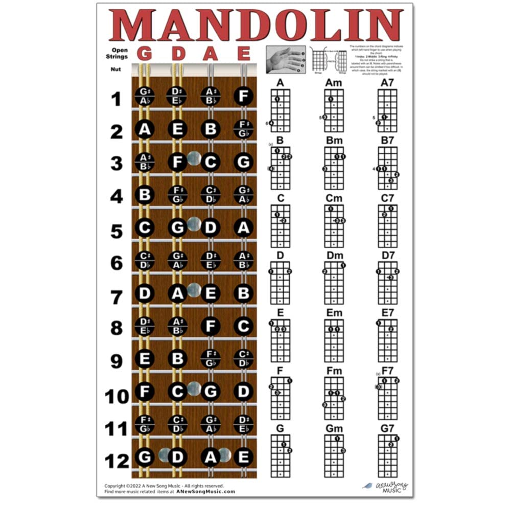 Mandolin Chord Chart Poster Laminated 11x17 E4148