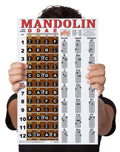 Mandolin Chord Chart Poster Laminated 11x17 E4148