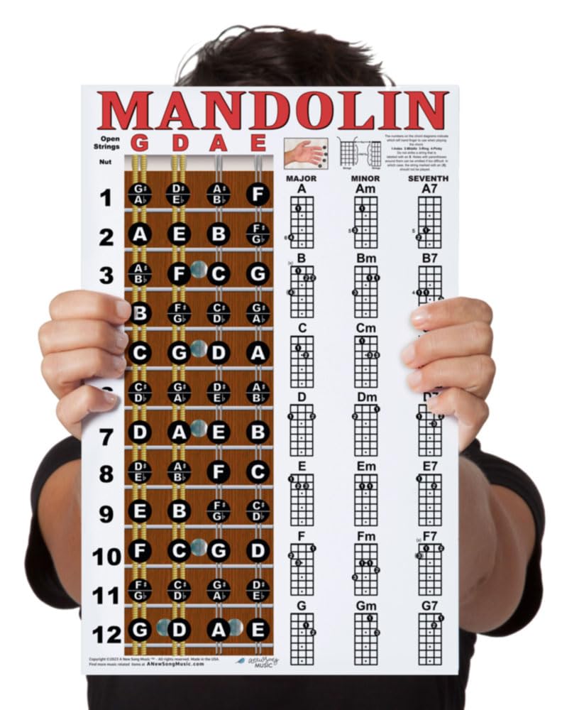 Mandolin Chord Chart Poster Laminated 11x17 E4148