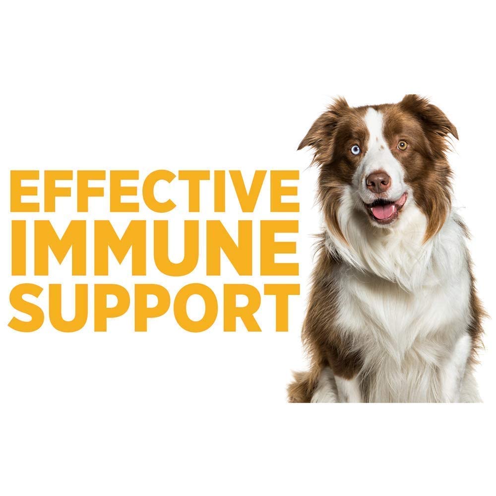 SAM-e Digestive and Immune Supplement G91037