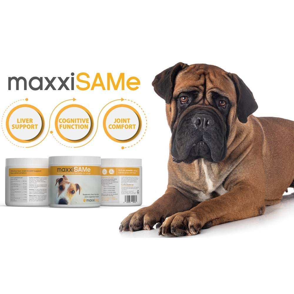 SAM-e Digestive and Immune Supplement G91037