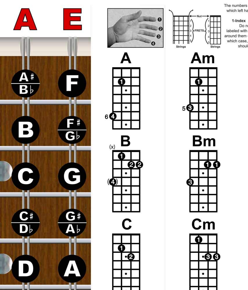 Mandolin Chord Chart Poster Laminated 11x17 E4148
