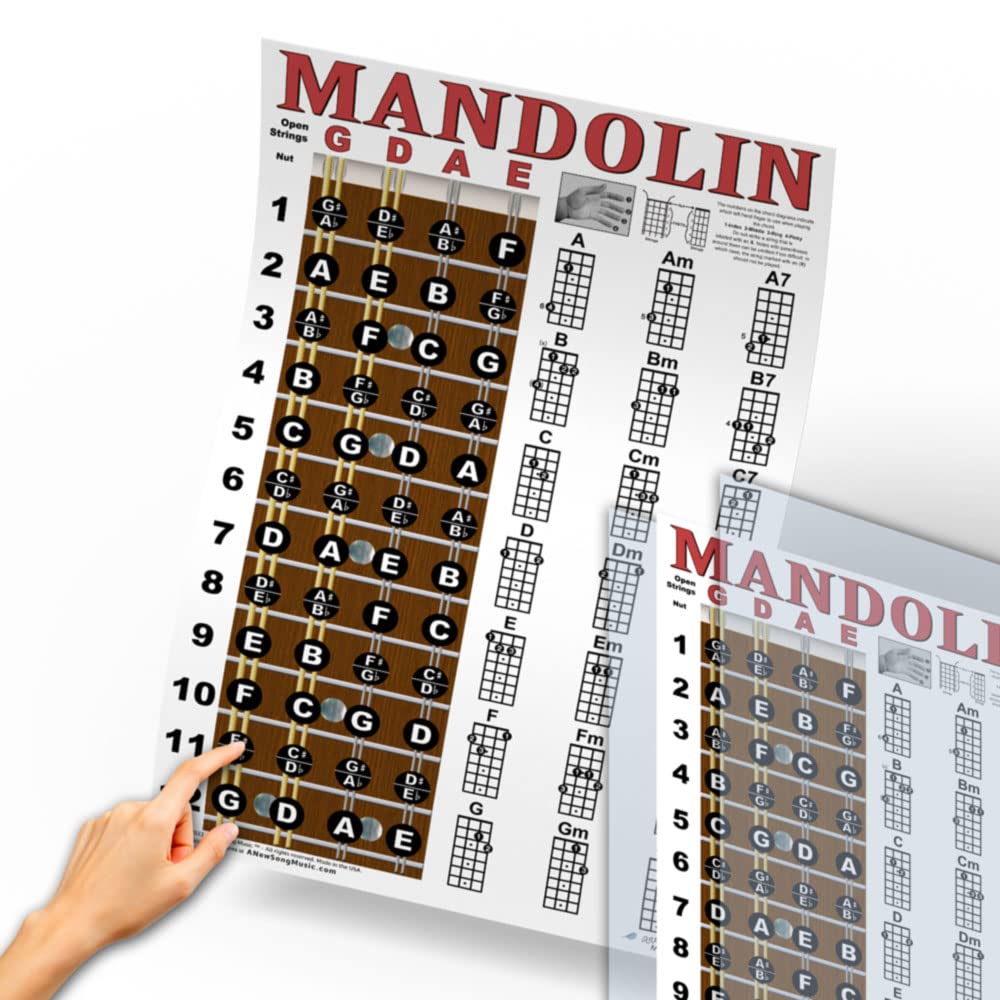 Mandolin Chord Chart Poster Laminated 11x17 E4148