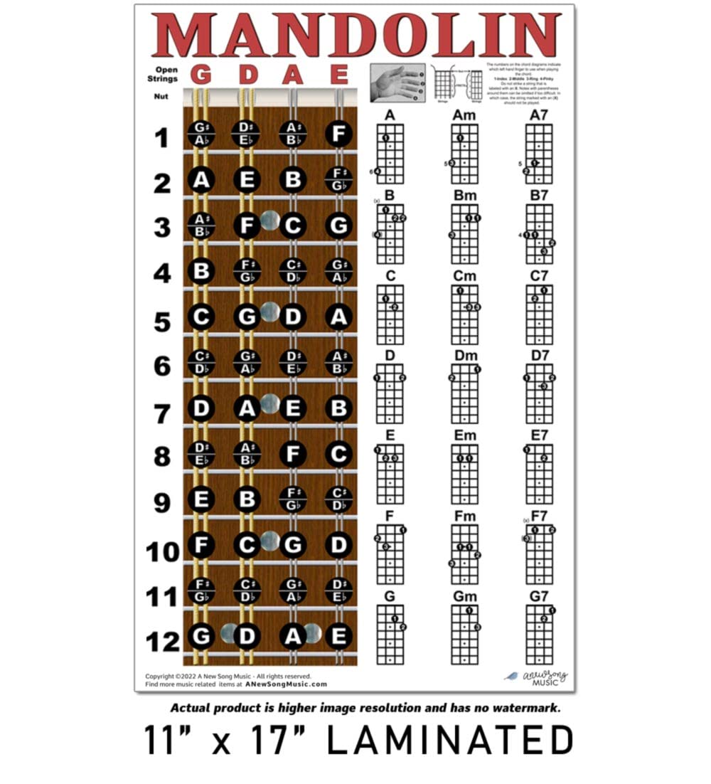 Mandolin Chord Chart Poster Laminated 11x17 E4148