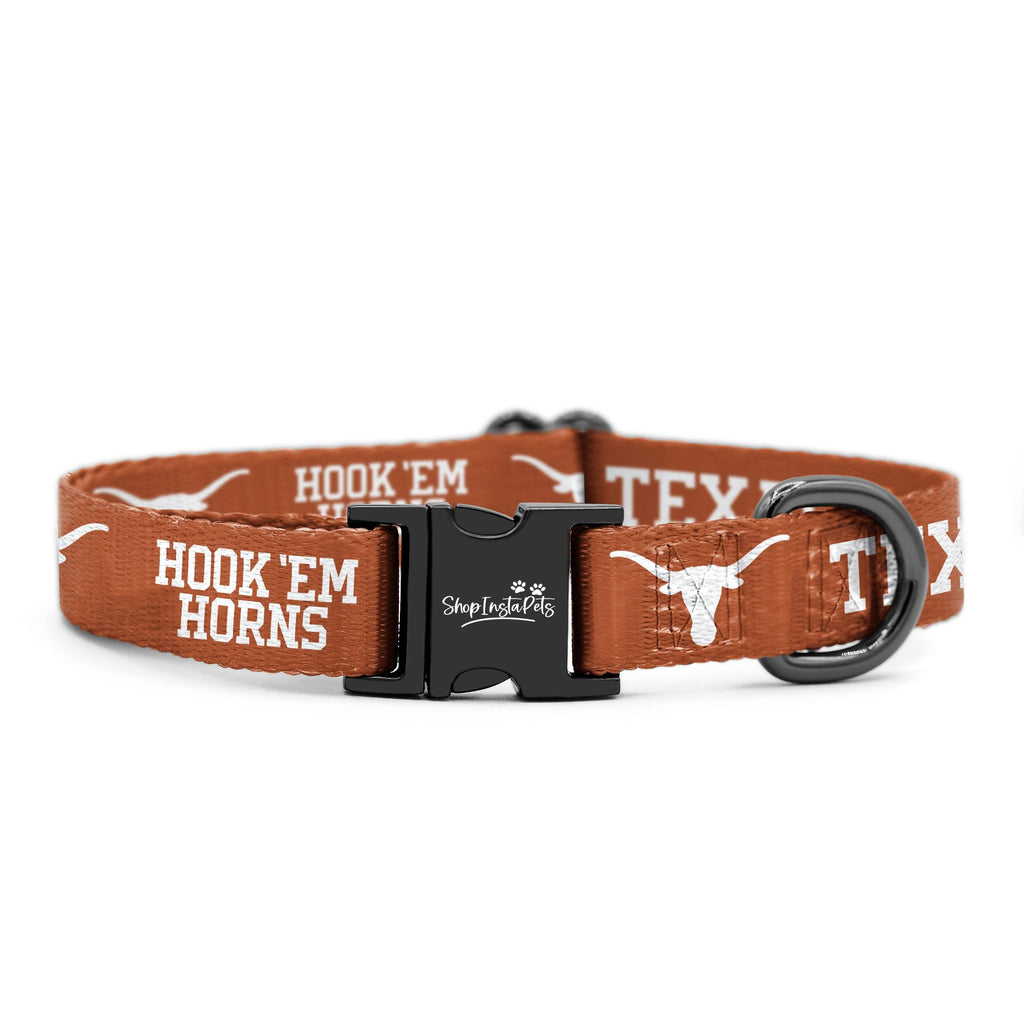 Large Collar and Leash D79325
