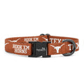 Large Collar and Leash D79325