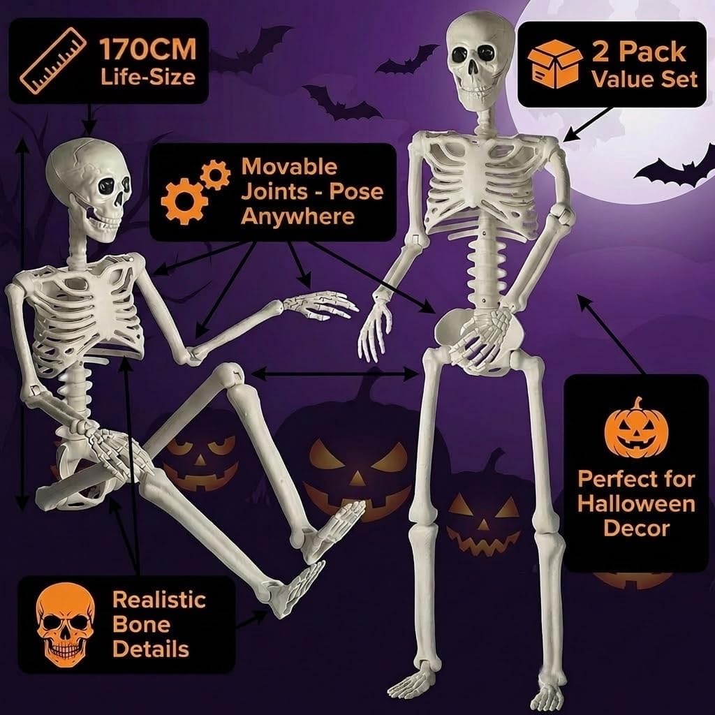 2 Pack 67" Posable Skeleton with Movable Joints Q631
