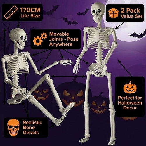 2 Pack 67" Posable Skeleton with Movable Joints Q631