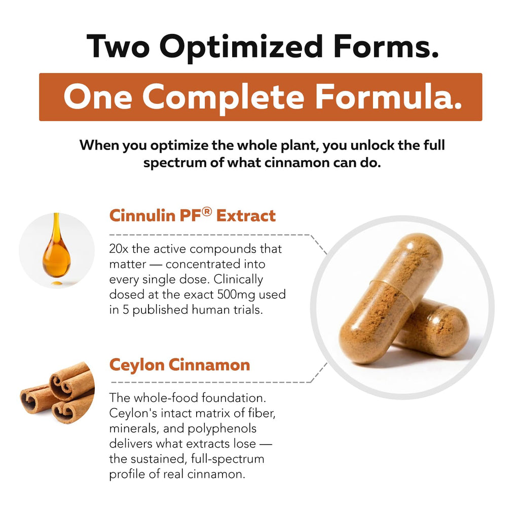 Cinnamon 1000mg Extract 60 Vegan Capsules Y40741