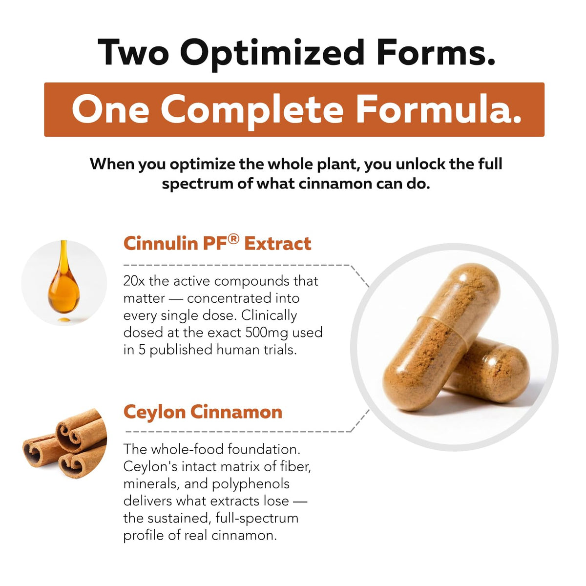 Cinnamon 1000mg Extract 60 Vegan Capsules Y40741