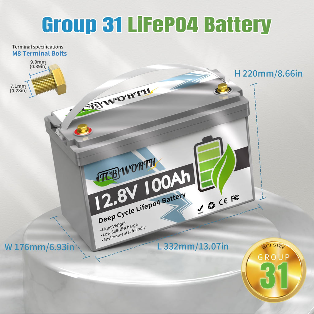 12V 100Ah LiFePO4 Deep Cycle Lithium Battery with 100A BMS P53343