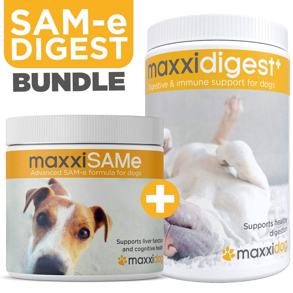 SAM-e Digestive and Immune Supplement G91037