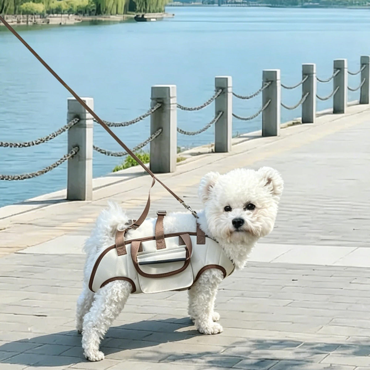 Hands Free Dog Backpack Carrier for Small Dogs, Breathable Pet Carrier with Adjustable Straps Z835