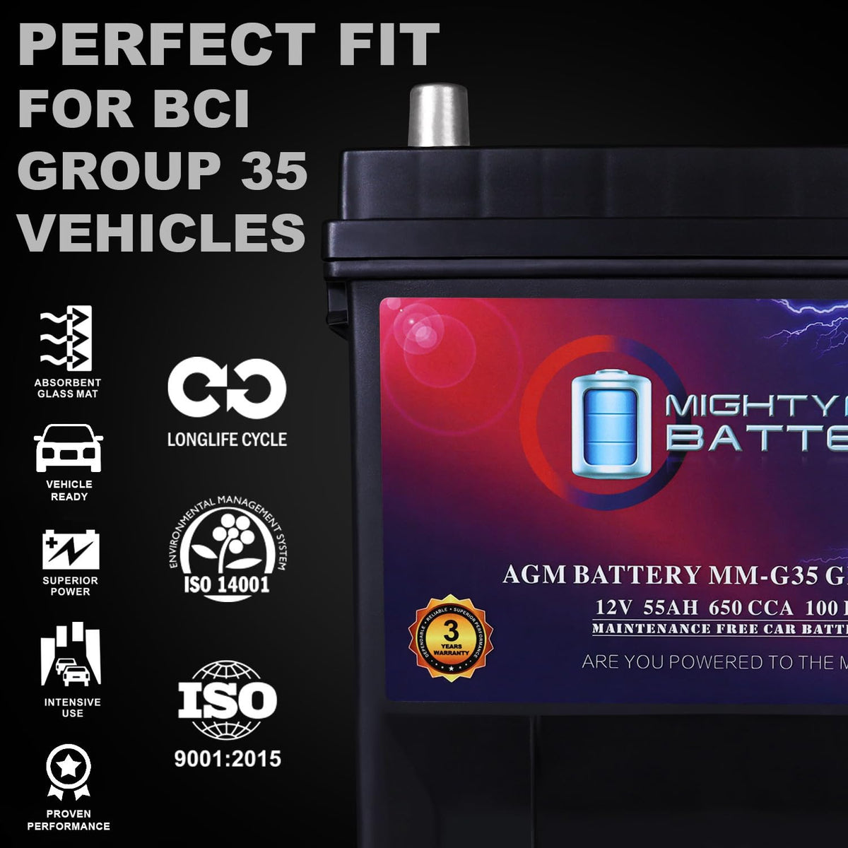 12V 55Ah AGM Replacement Battery C5479