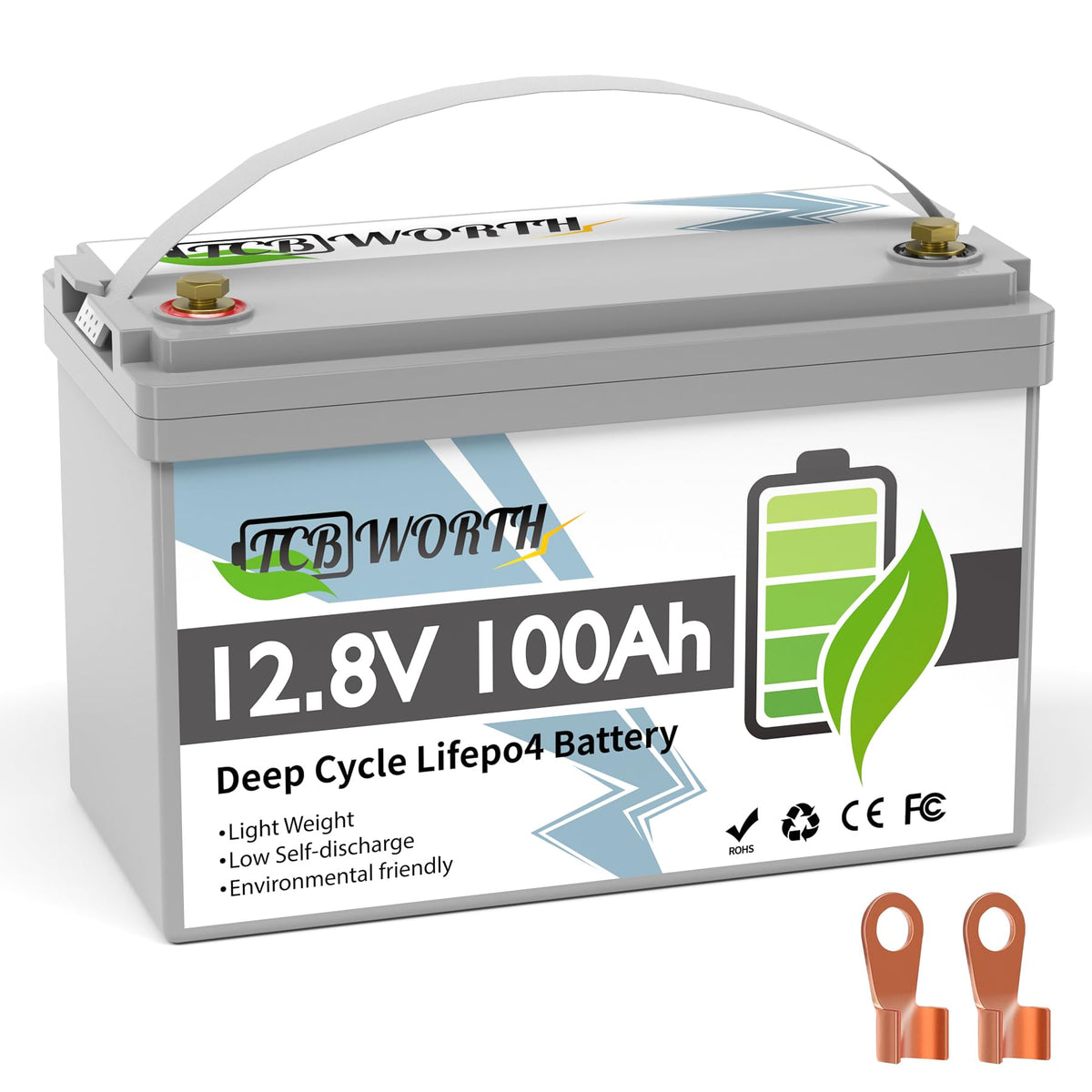 12V 100Ah LiFePO4 Deep Cycle Lithium Battery with 100A BMS P53343