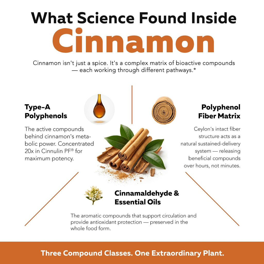 Cinnamon 1000mg Extract 60 Vegan Capsules Y40741