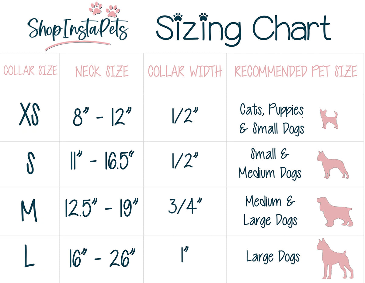 Large Collar and Leash D79325