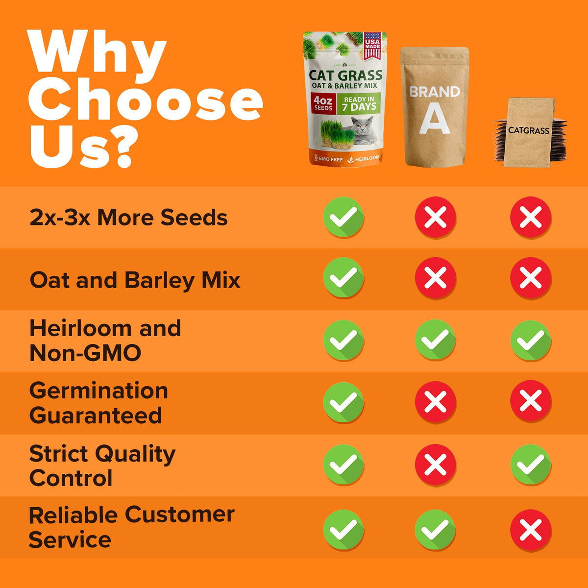 Cat Grass Seeds 4 oz Oat & Barley Mix B576