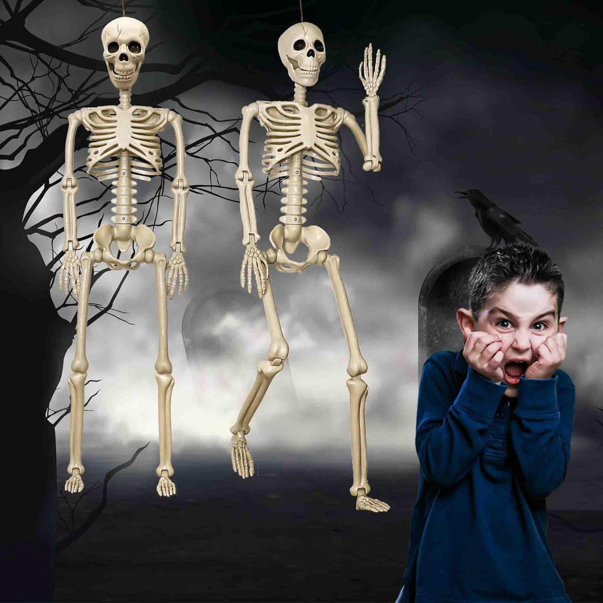2 Pack 67" Posable Skeleton with Movable Joints Q631