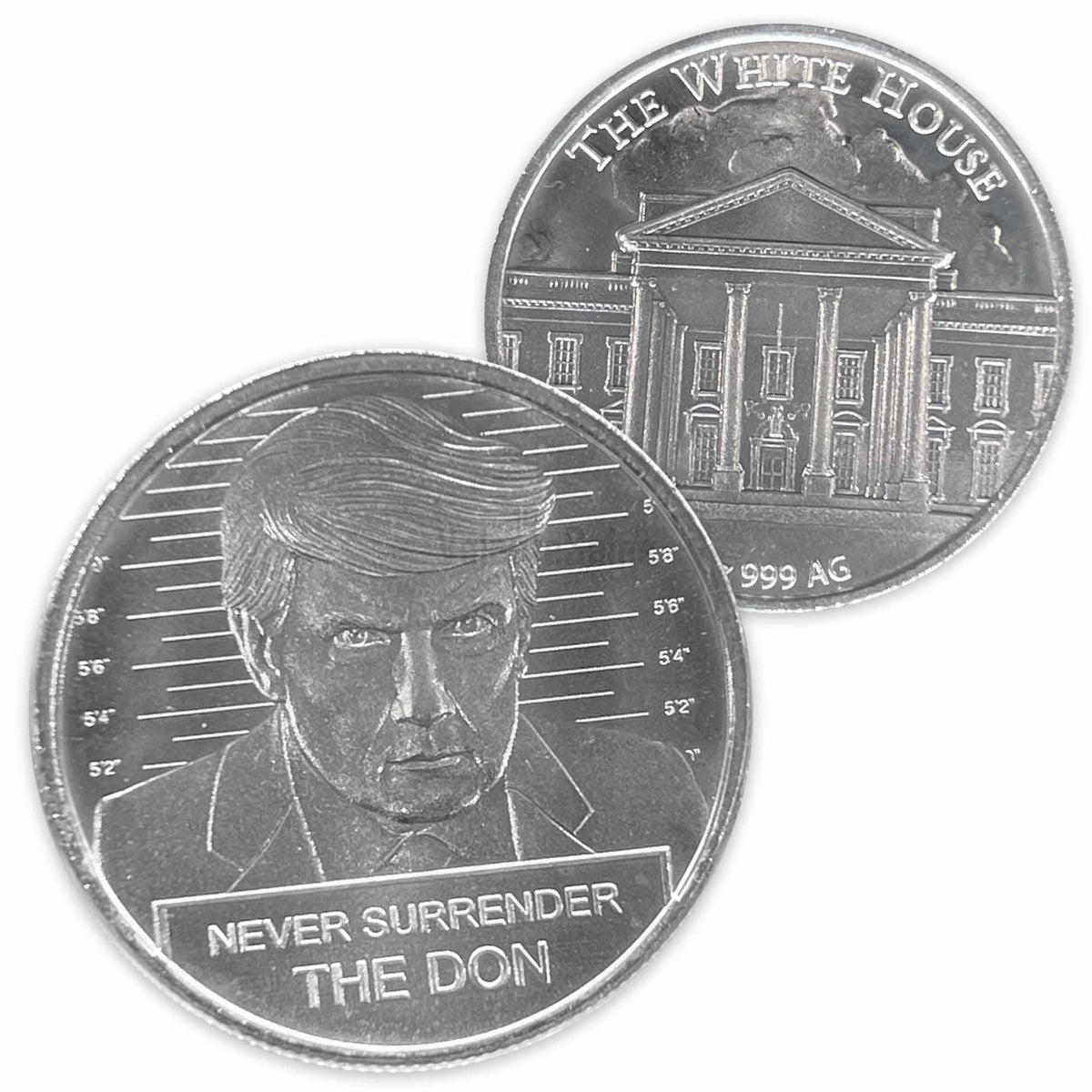 1oz .999 Silver Round N66472