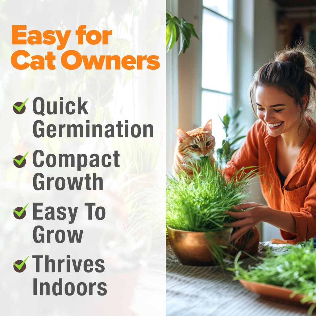 Cat Grass Seeds 4 oz Oat & Barley Mix B576