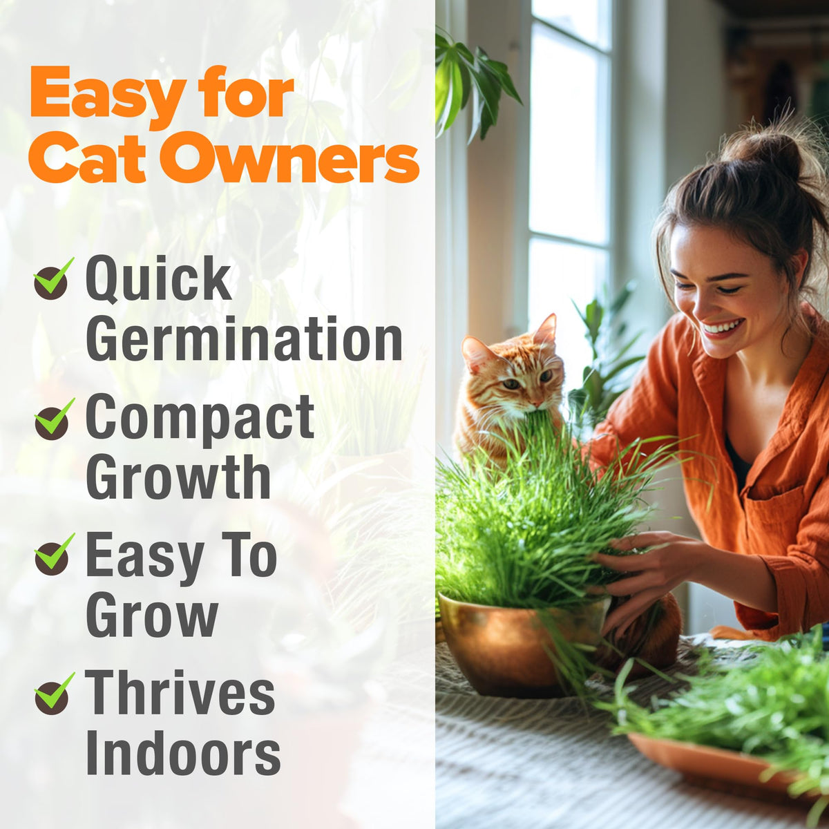 Cat Grass Seeds 4 oz Oat & Barley Mix B576