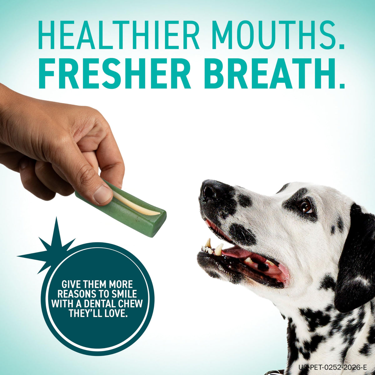 Dental Hygiene Chews for Dogs K440437
