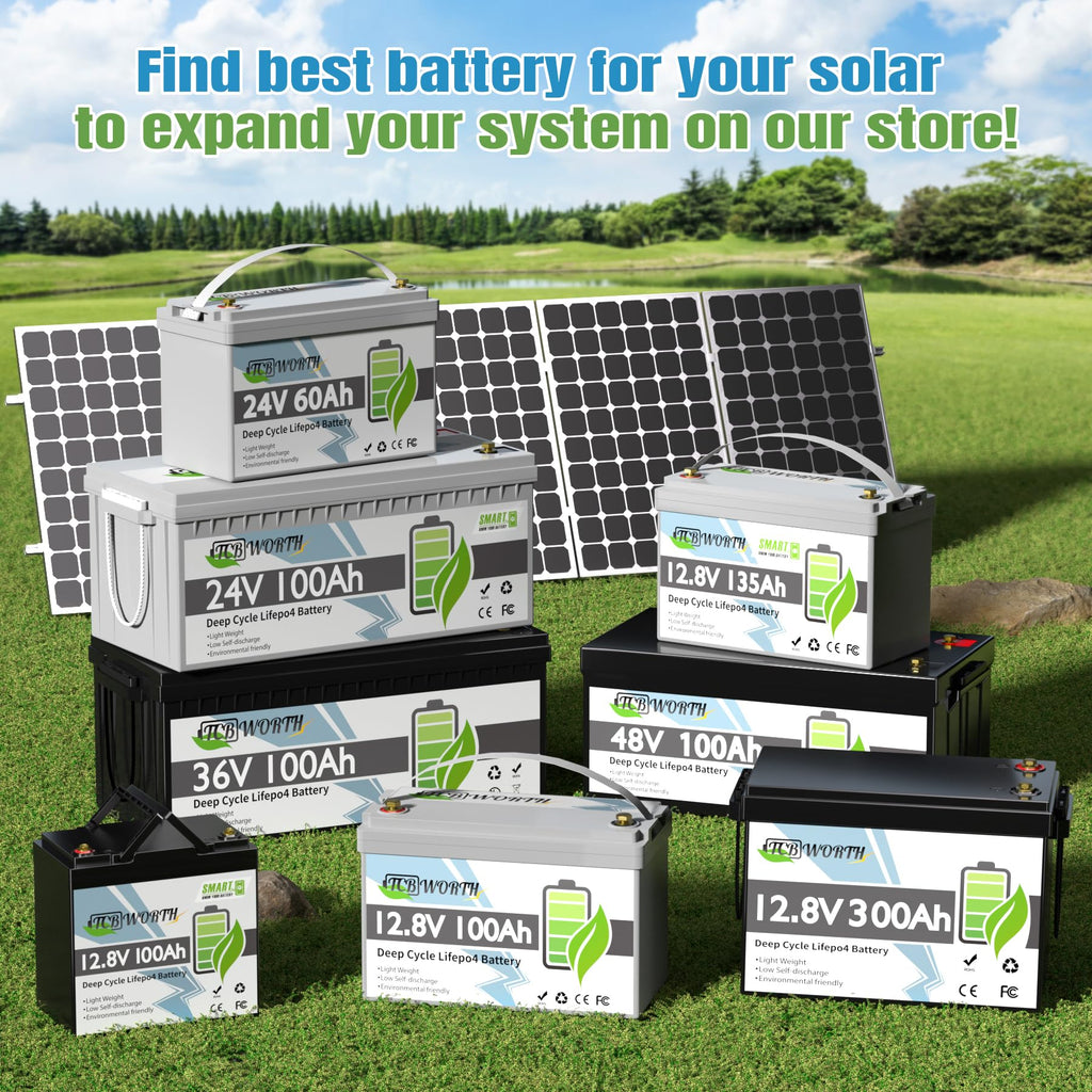 12V 100Ah LiFePO4 Deep Cycle Lithium Battery with 100A BMS P53343