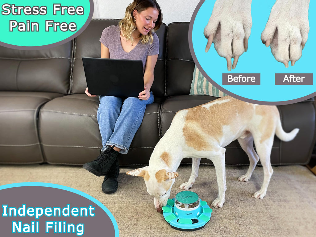 Dog Nail Scratch Board with Treat Dispenser T737