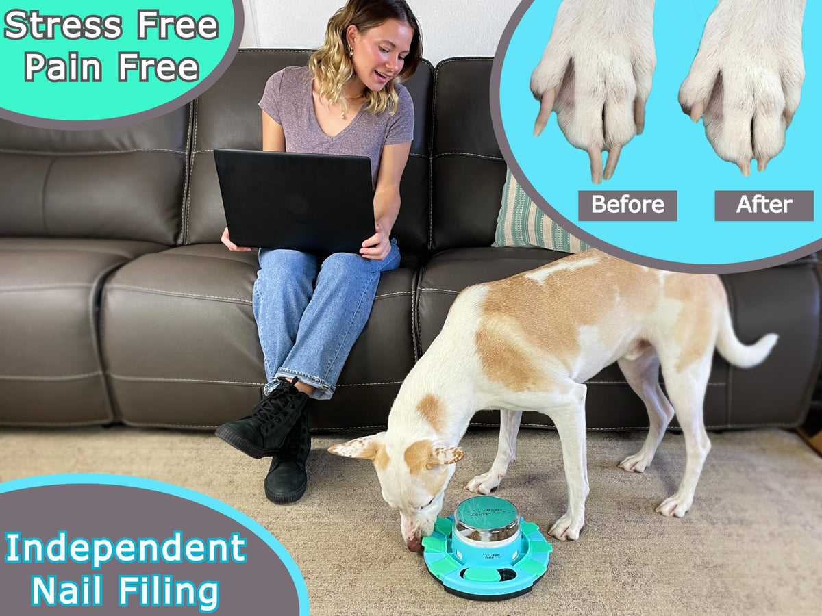 Dog Nail Scratch Board with Treat Dispenser T737