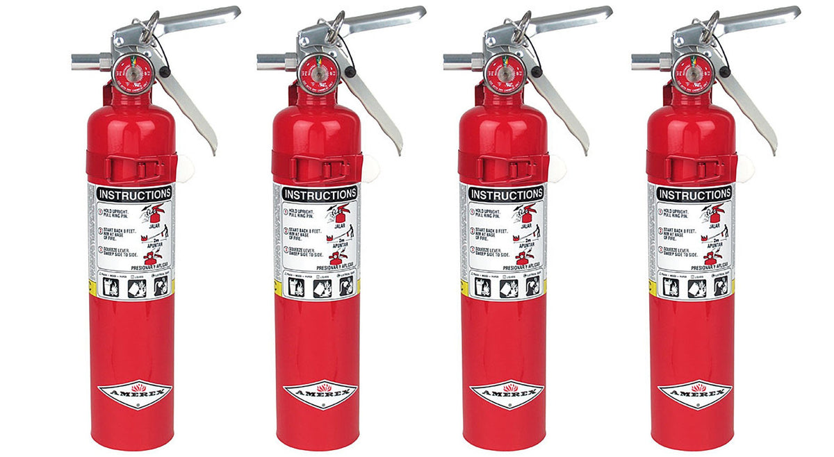 2.5lb ABC Dry Chemical Fire Extinguisher with Wall Bracket D436651
