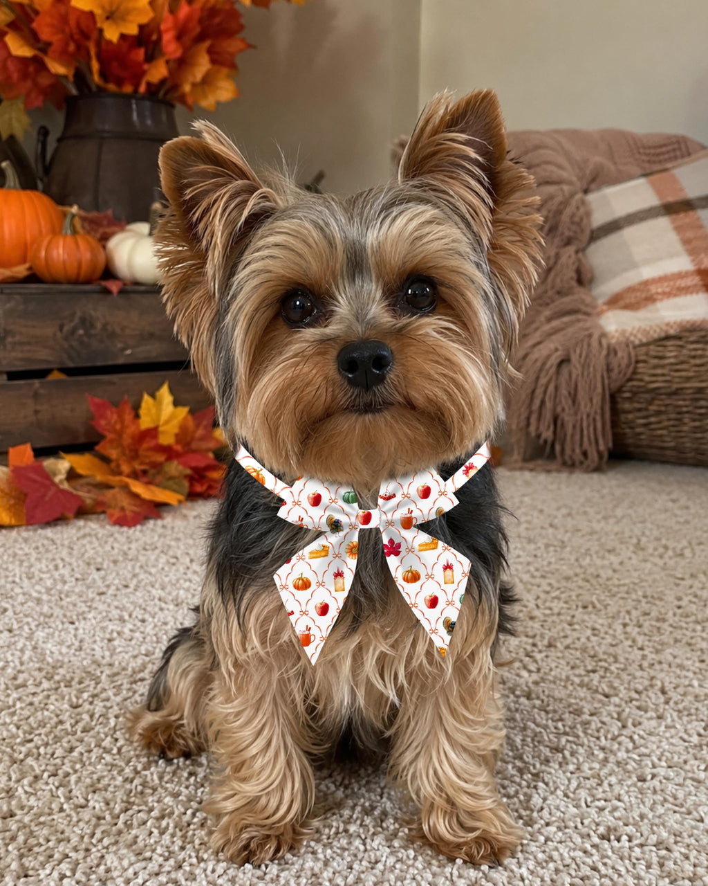 50 Pack Dog Bowties O212463