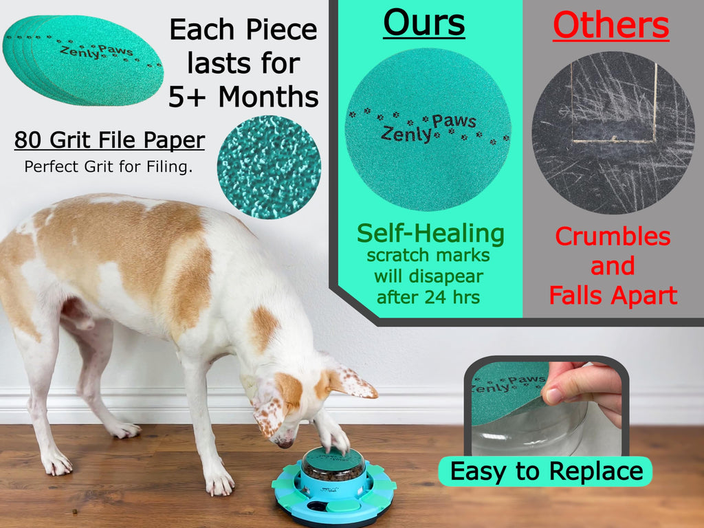 Dog Nail Scratch Board with Treat Dispenser T737