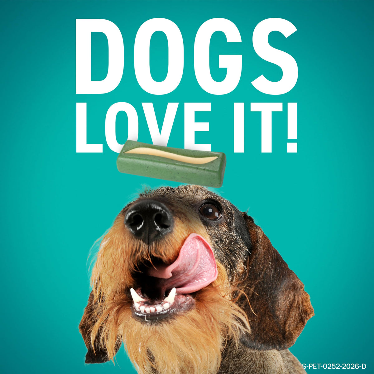 Dental Hygiene Chews for Dogs K440437