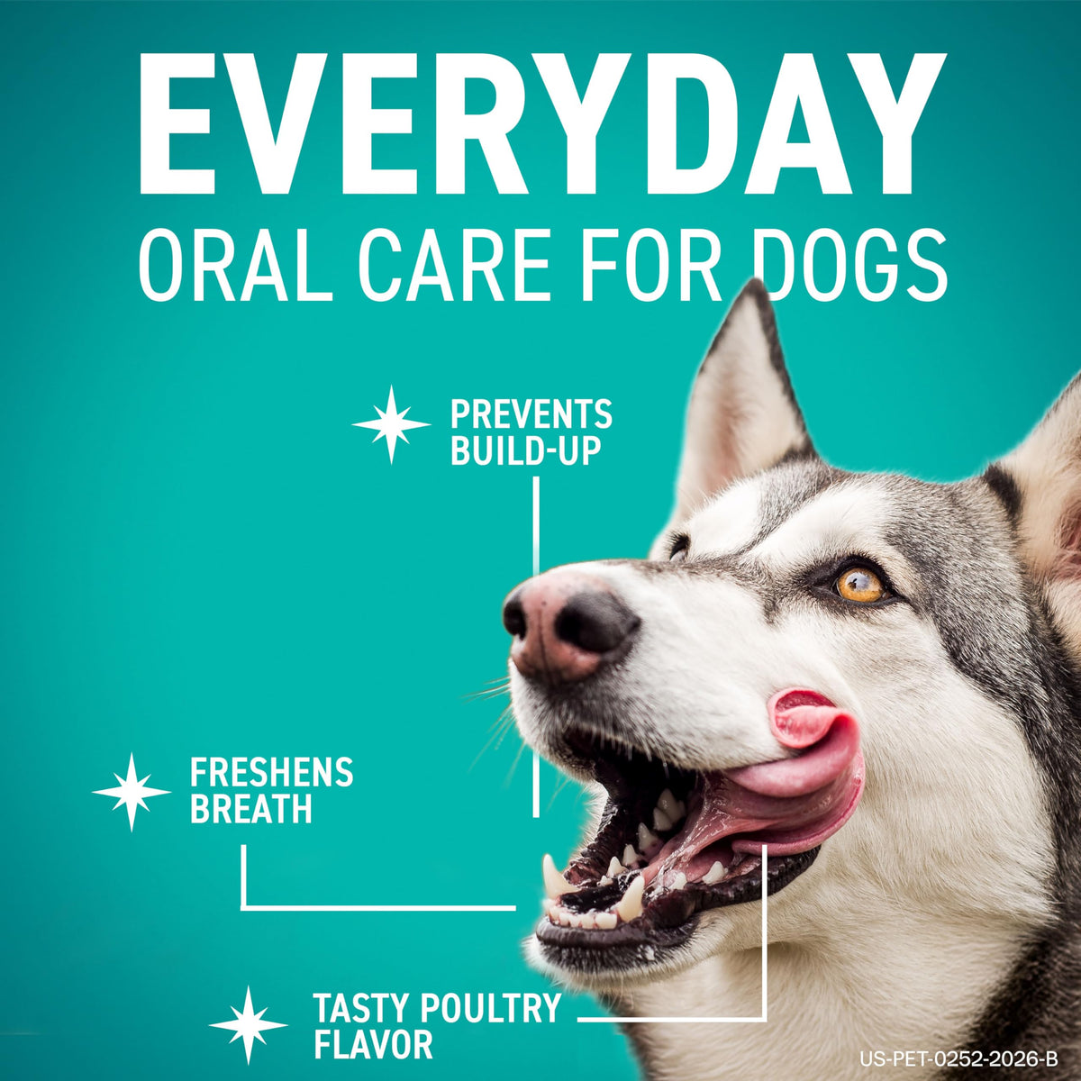 Dental Hygiene Chews for Dogs K440437