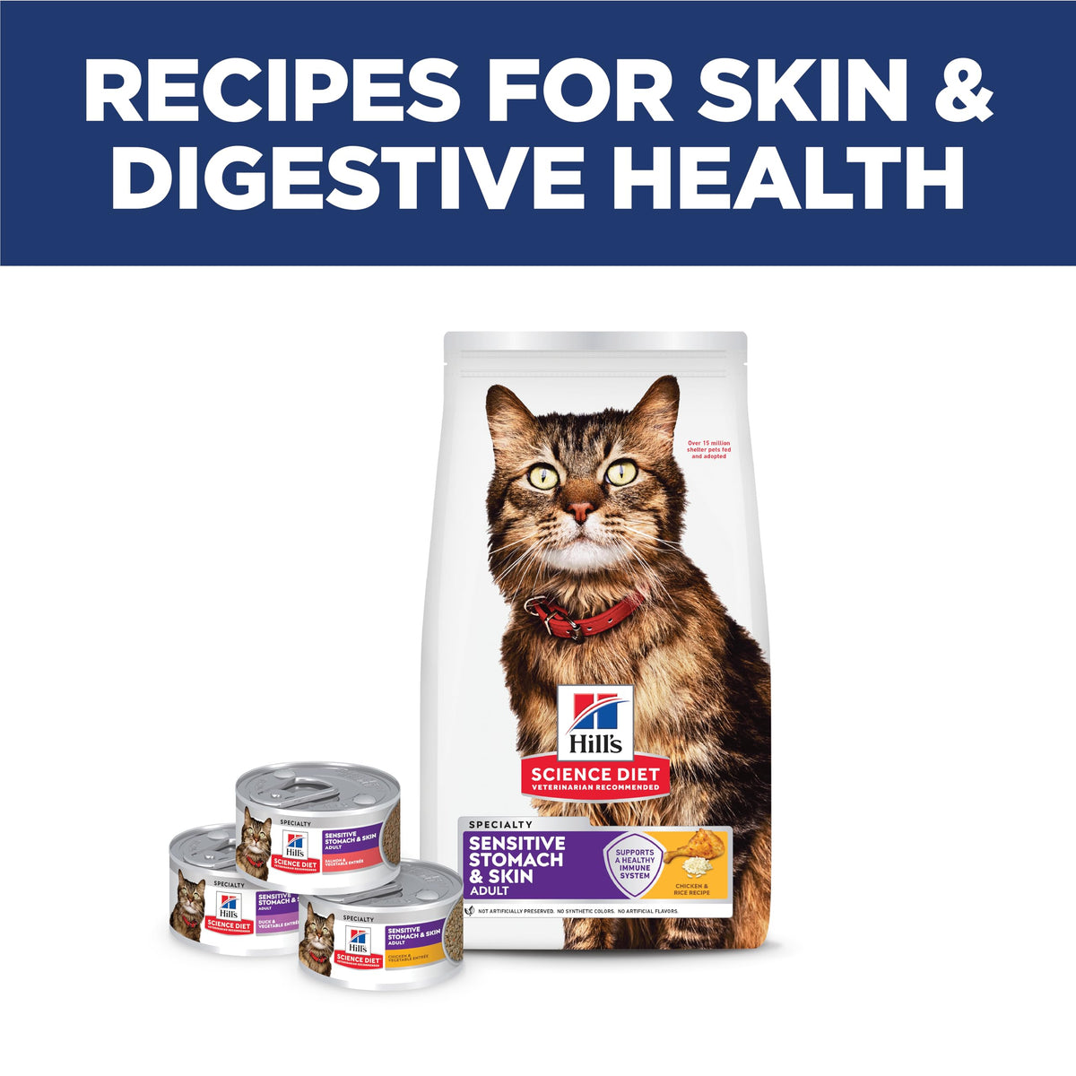 Sensitive Stomach & Skin Dry Cat Food H919