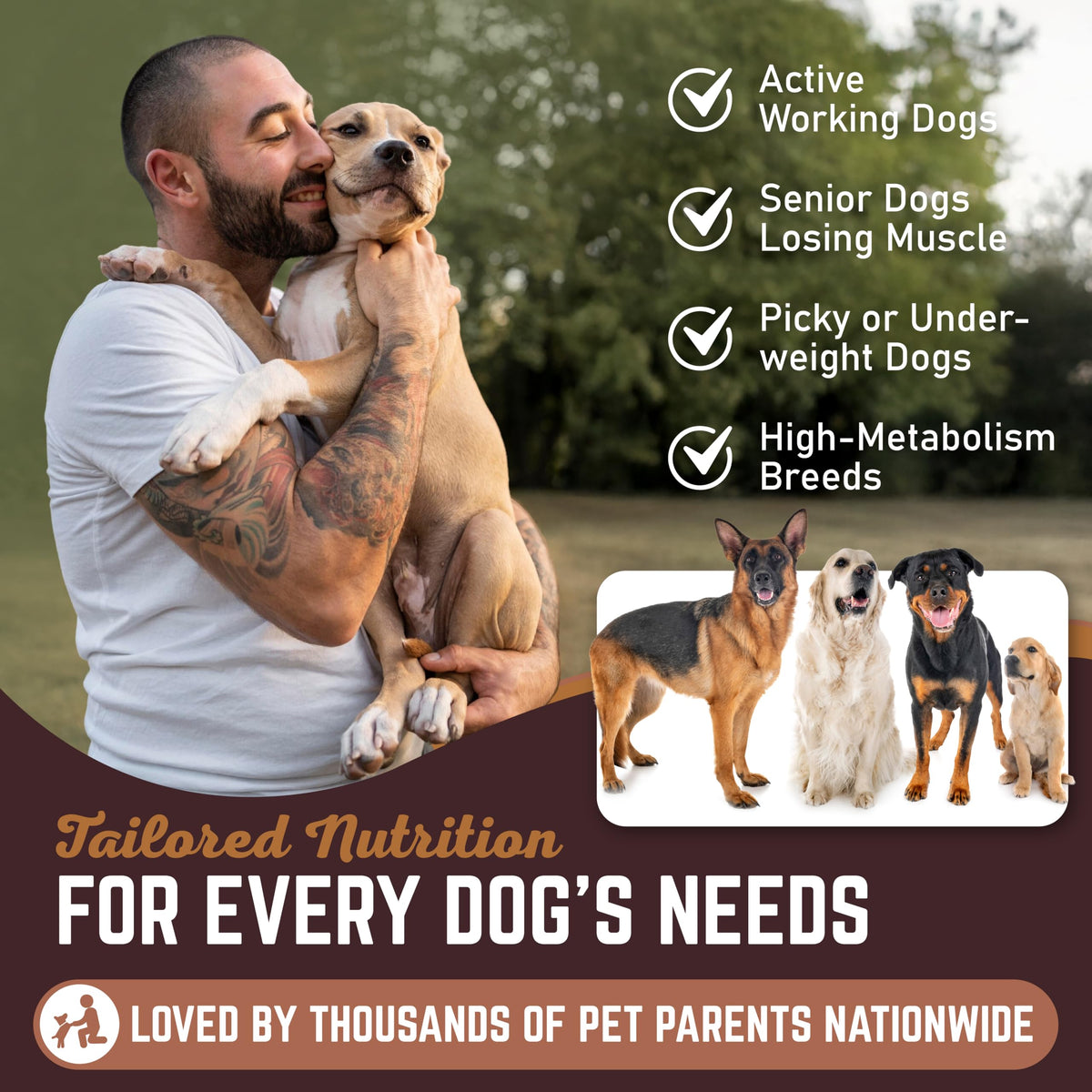 High Calorie Dog Weight Gainer Liquid 16 oz D5027