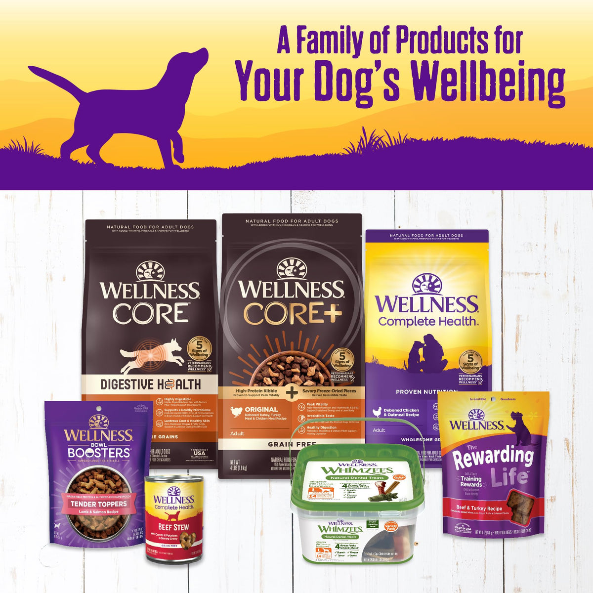 Grain Free Turkey Recipe Canned Wet Dog Food, 12.5 oz, Pack of 12 Cans T80486