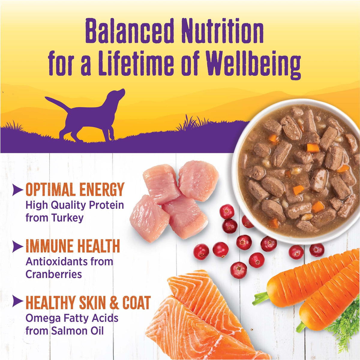 Grain Free Turkey Recipe Canned Wet Dog Food, 12.5 oz, Pack of 12 Cans T80486