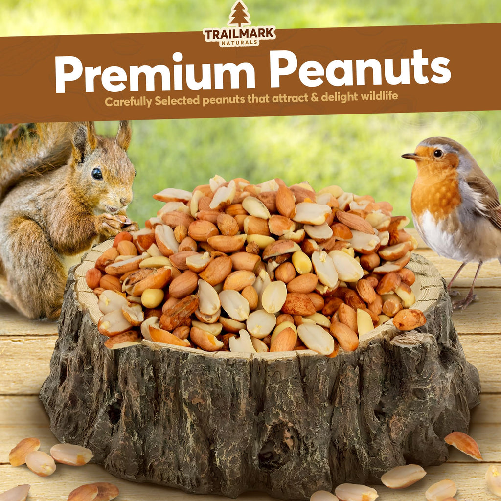 Raw Shelled Peanuts N941