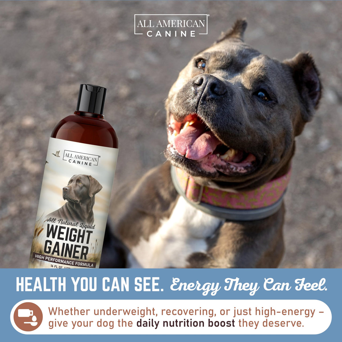 High Calorie Dog Weight Gainer Liquid 16 oz D5027