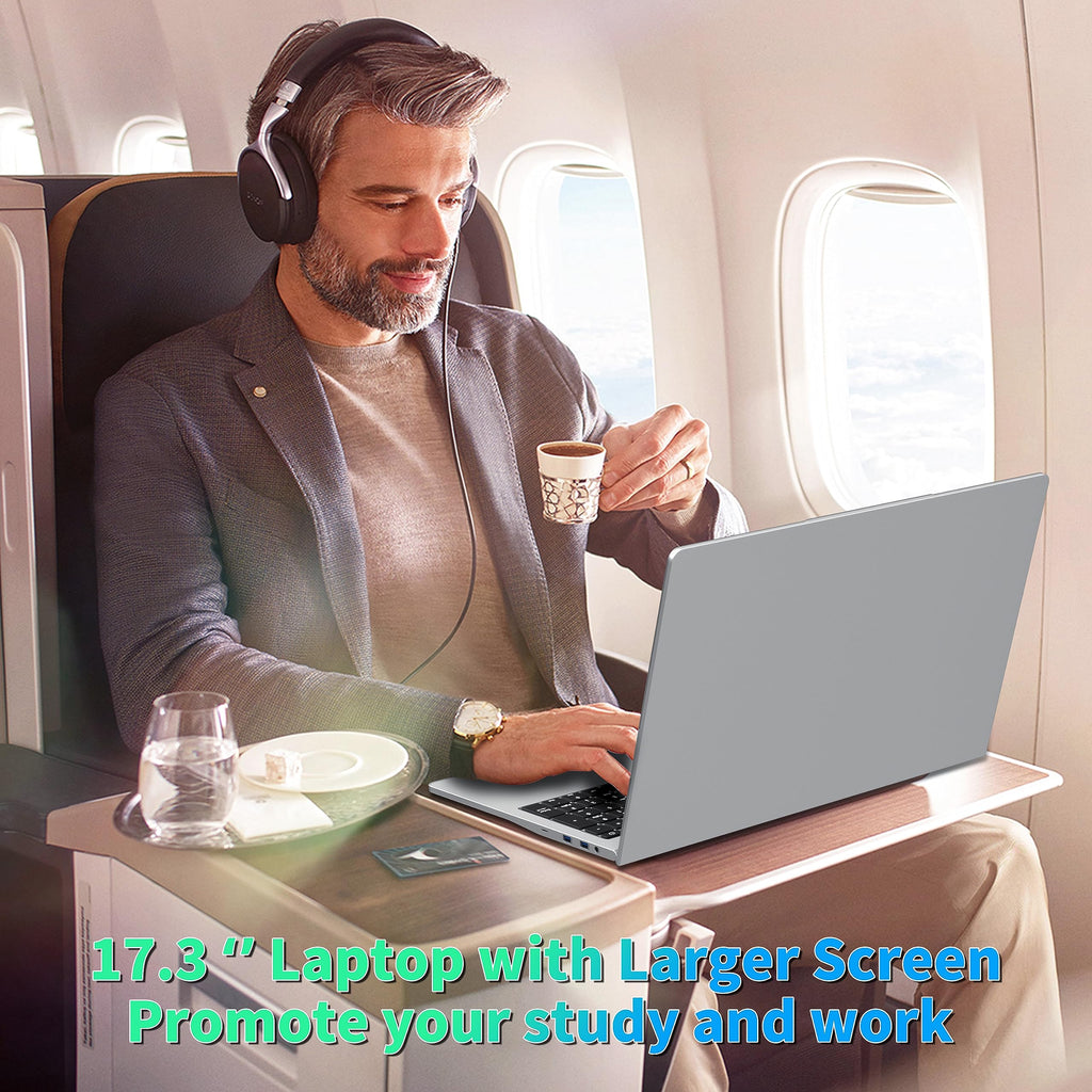 17.3" FHD IPS Business Laptop Computer, Silver E78903
