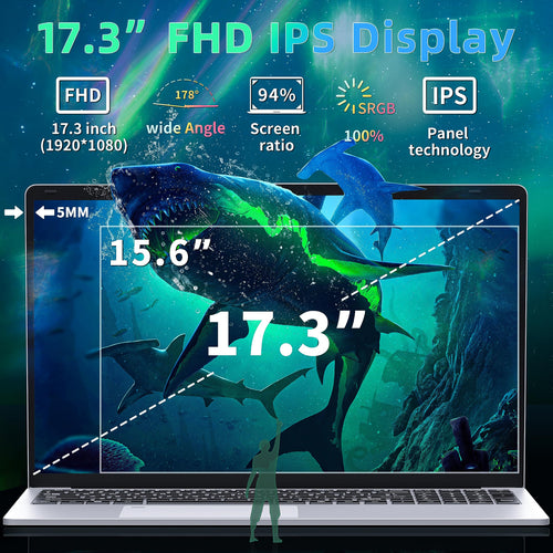17.3" FHD IPS Business Laptop Computer, Silver E78903